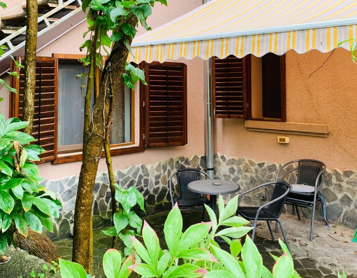 براشوف Maan Central Apartment Pet Friendly Location المظهر الخارجي الصورة