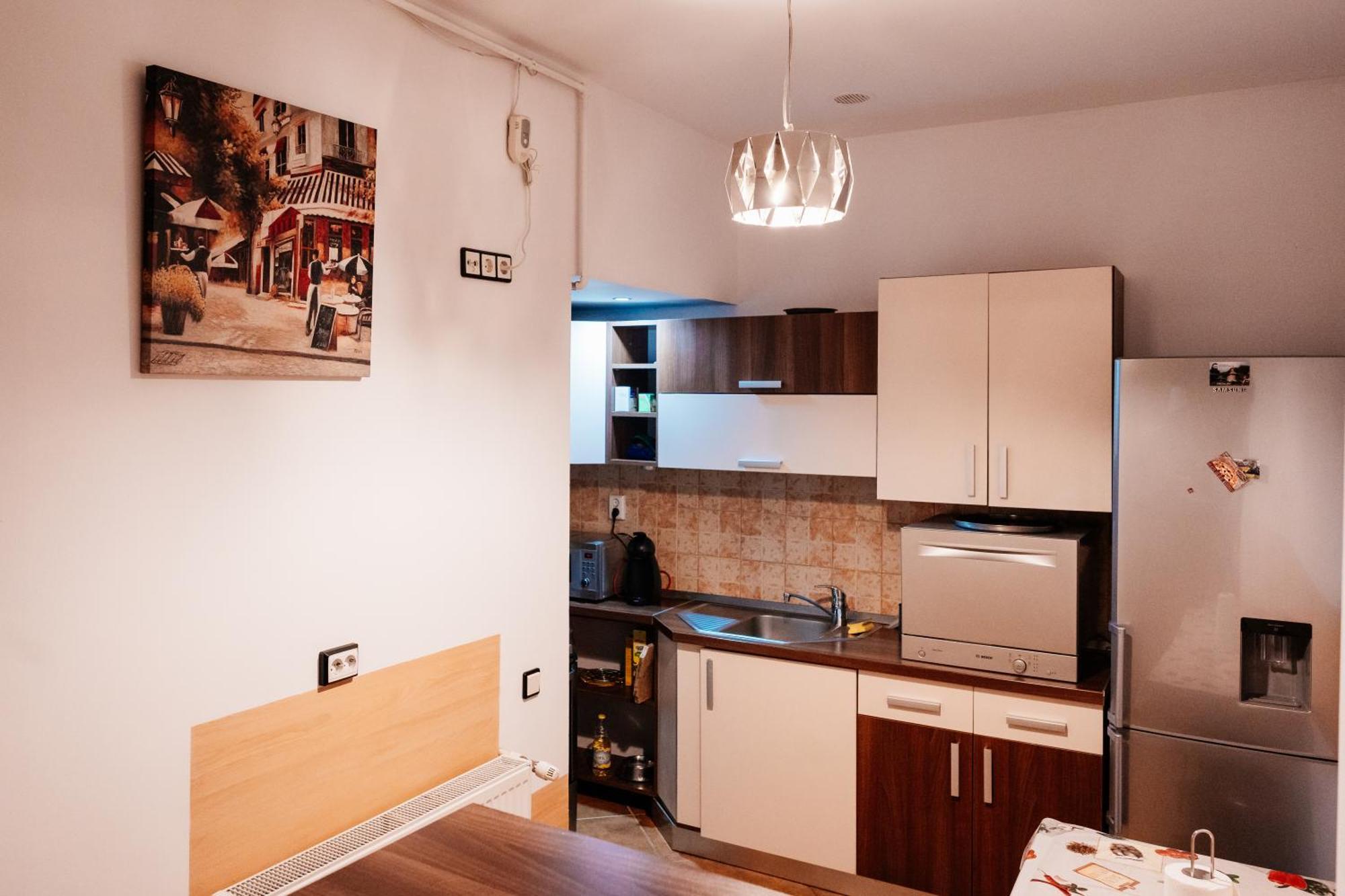 براشوف Maan Central Apartment Pet Friendly Location المظهر الخارجي الصورة